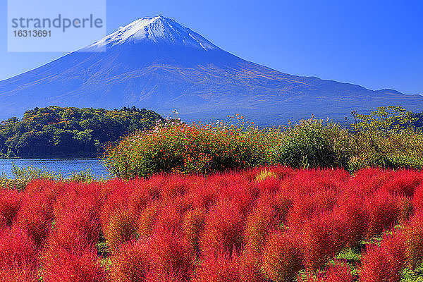 Präfektur Yamanashi  Japan