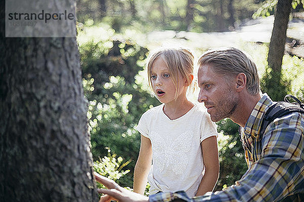 Vater und Tochter betrachten Baumstamm im Wald