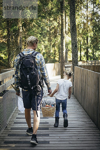 Rückansicht von Vater und Tochter  die einen Picknickkorb halten  während sie auf einem Steg im Wald spazieren gehen