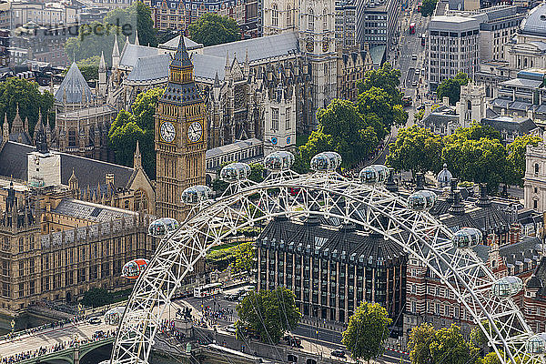 Das London Eye und die Jubilee Gardens mit den Parlamentsgebäuden in der Ferne  London  England  Vereinigtes Königreich  Europa