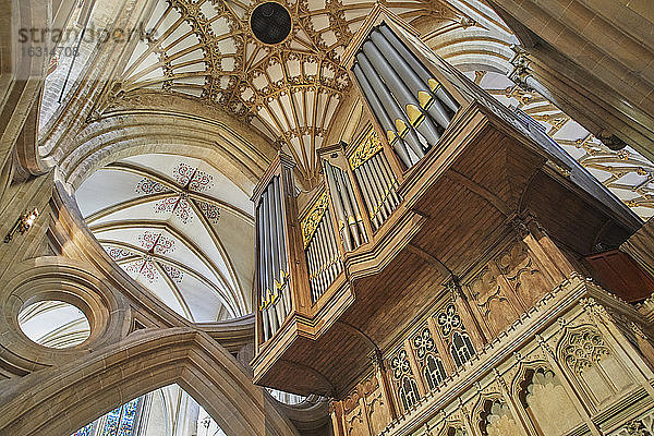 Die massive Orgel und die Decke in der Kathedrale von Wells  in Wells  Somerset  England  Vereinigtes Königreich  Europa