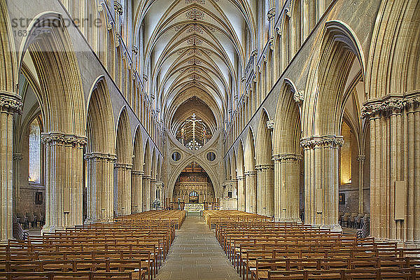 Das Mittelschiff der historischen Kathedrale von Wells  in Wells  Somerset  England  Vereinigtes Königreich  Europa