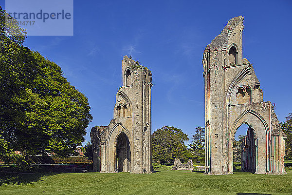 Die Ruinen der Grossen Kirche in der historischen Abtei von Glastonbury  Glastonbury  Somerset  England  Grossbritannien  Europa