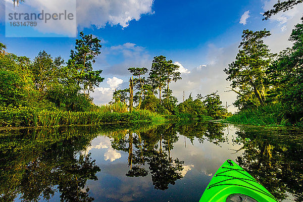 Kajakfahren durch Cane Bayou  New Orleans  Louisiana  Vereinigte Staaten von Amerika  Nordamerika