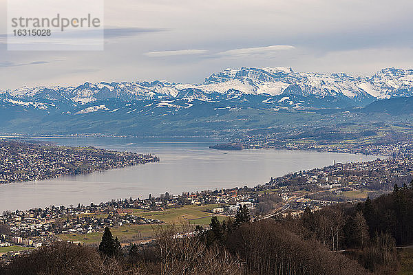 Blick auf den Zürichsee und die Stadt Zürich mit den Bergen im Hintergrund vom Uetli aus  Zürich  Schweiz  Europa