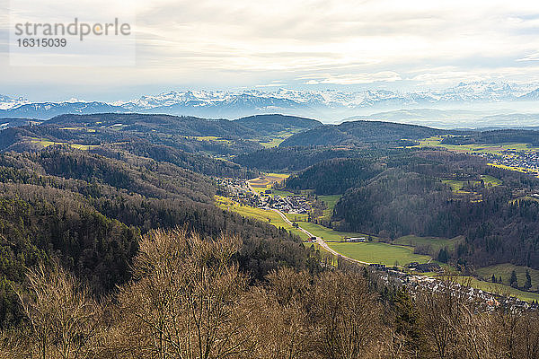 Ansicht der Felder um Zürich mit den Alpen im Hintergrund vom Uetliberg  Zürich  Schweiz  Europa