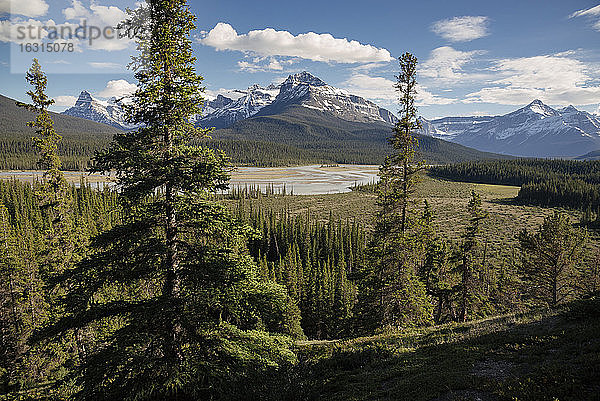 Flusstal und Mount Sarback  Banff-Nationalpark  UNESCO-Welterbestätte  Alberta  Kanadische Rockies  Kanada  Nordamerika