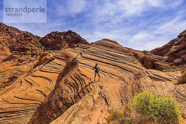 Frau wandert durch den Zion-Nationalpark  Utah  Vereinigte Staaten von Amerika  Nordamerika