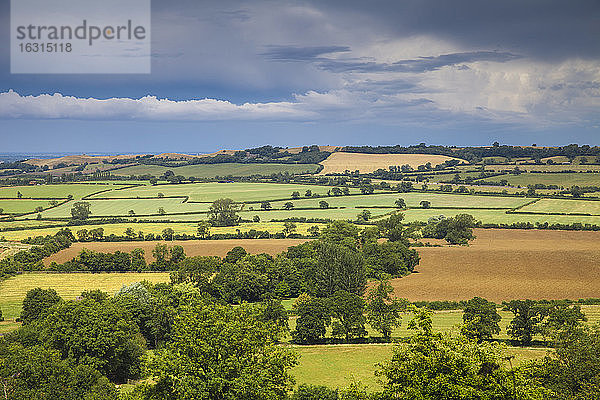 Auf dem Land zwischen Eggington und Toddinton  Bedfordshire  England  Vereinigtes Königreich  Europa