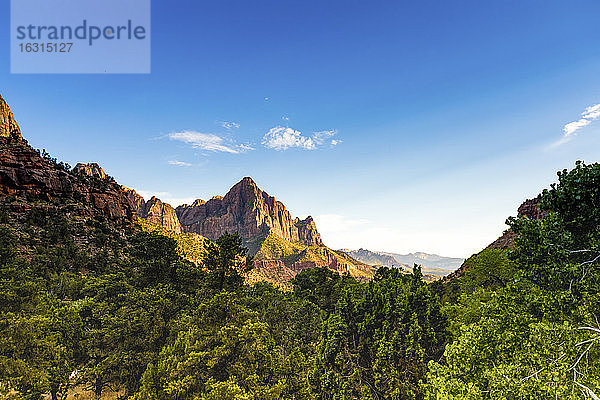 Landschaftsansicht im Zion-Nationalpark  Utah  Vereinigte Staaten von Amerika  Nordamerika