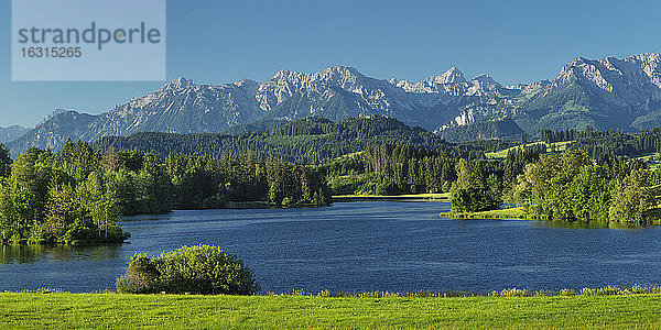 Schwaltenweiher See  Seeg  Allgäuer Alpen  Allgäu  Schwaben  Bayern  Deutschland  Europa