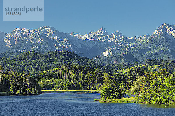 Schwaltenweiher See  Seeg  Allgäuer Alpen  Allgäu  Schwaben  Bayern  Deutschland  Europa