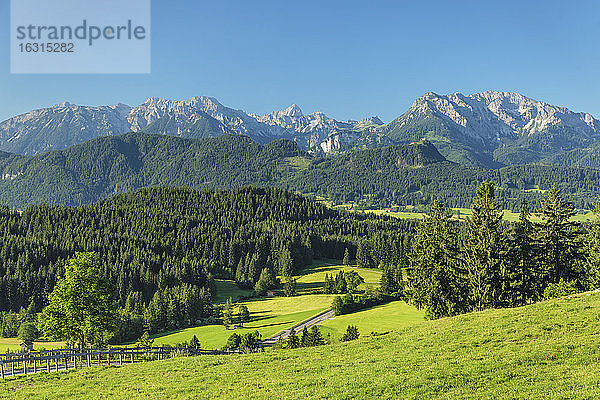 Blick von der Schlossbergalm auf die Allgäuer Alpen  Zell  Allgäu  Schwaben  Bayern  Deutschland  Europa