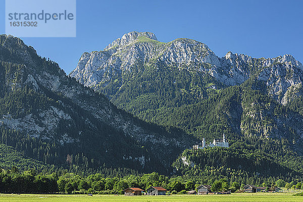 Schloss Neuschwanstein und Lechtaler Alpen  Schwangau  Allgäu  Schwaben  Bayern  Deutschland  Europa