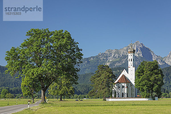 Wallfahrtskirche St. Coloman  Schwangau  Allgäu  Schwaben  Bayern  Deutschland  Europa