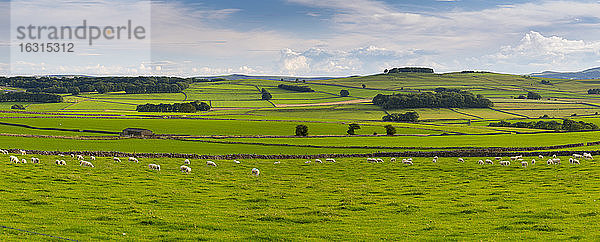 Blick auf Trockenmauern und Landschaft in der Nähe von Litton  Peak-District-Nationalpark  Derbyshire  England  Vereinigtes Königreich  Europa