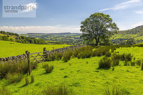 Blick auf die Landschaft bei Little Hayfield  High Peak  Derbyshire  England  Vereinigtes Königreich  Europa