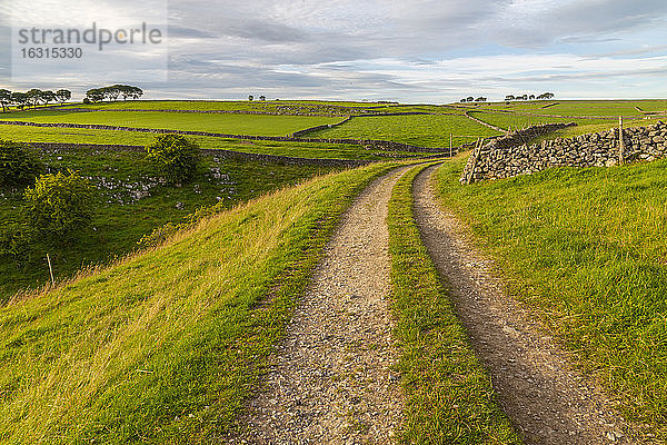 Blick auf Strecke und Landschaft bei Whetton  Tideswell  Peak District National Park  Derbyshire  England  Vereinigtes Königreich  Europa