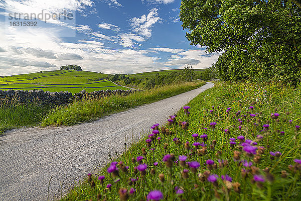 Blick auf den Tissington Trail bei Biggin  Ashbourne  Derbyshire  England  Vereinigtes Königreich  Europa