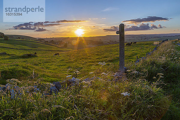 Blick auf Sonnenuntergang  Wanderwegweiser und Landschaft in der Nähe von Wardlow  Peak District National Park  Derbyshire  England  Vereinigtes Königreich  Europa