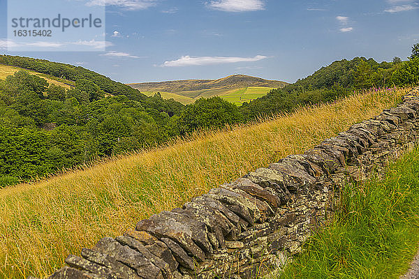 Blick auf Trockenmauern  Wälder und Hügel in der Umgebung von Hayfield  High Peak  Derbyshire  England  Vereinigtes Königreich  Europa