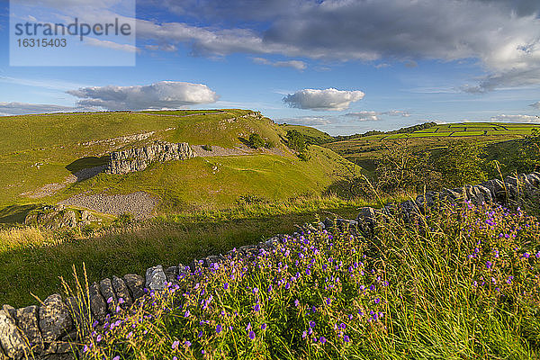 Landschaftsansicht der Landschaft und Trockenmauern bei Litton  Peak-District-Nationalpark  Derbyshire  England  Vereinigtes Königreich  Europa