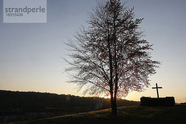 Baum und Kreuz in der Abenddämmerung in Le Bec Hellouin  Eure  Normandie  Frankreich  Europa