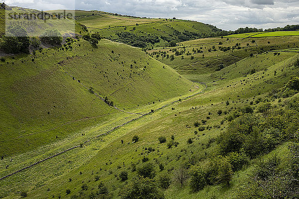 Cressbrook Dale  in der Nähe von Bakewell  Derbyshire  England  Vereinigtes Königreich  Europa