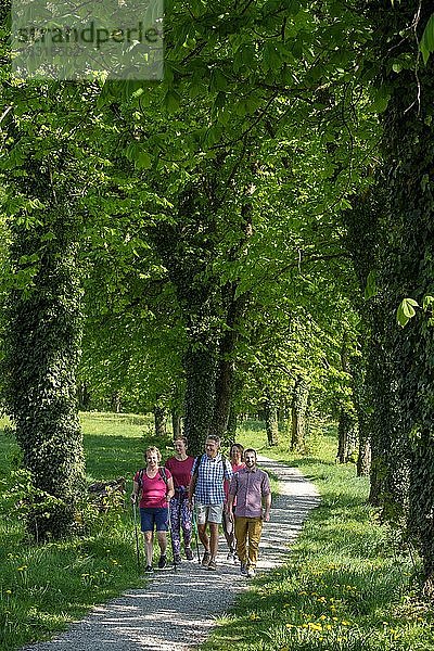 Gruppe beim Wandern  Wanderung  Allee  Bad Heilbrunn  Loisachtal  Oberbayern  Bayern  Deutschland  Europa