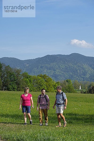 Gruppe beim Wandern  Wanderung  Bad Heilbrunn  Loisachtal  Oberbayern  Bayern  Deutschland  Europa