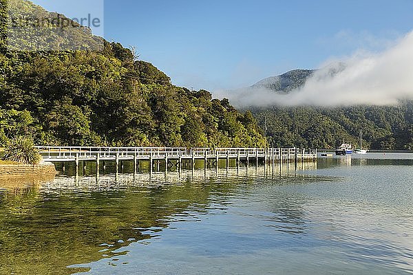 Ngakuta Bay  Marlborough Sounds  Picton  Südinsel  Neuseeland  Ozeanien