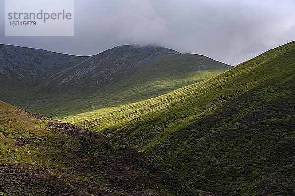 Lichtstimmung im Cairngorm Nationalpark  Schottland  Großbritannien  Europa