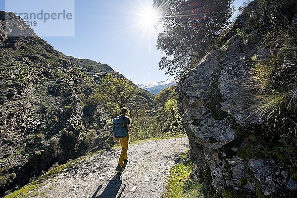 Wanderer auf Wanderweg Vereda de la Estrella  Sierra Nevada  Berge bei Granada  Andalusien  Spanien  Europa