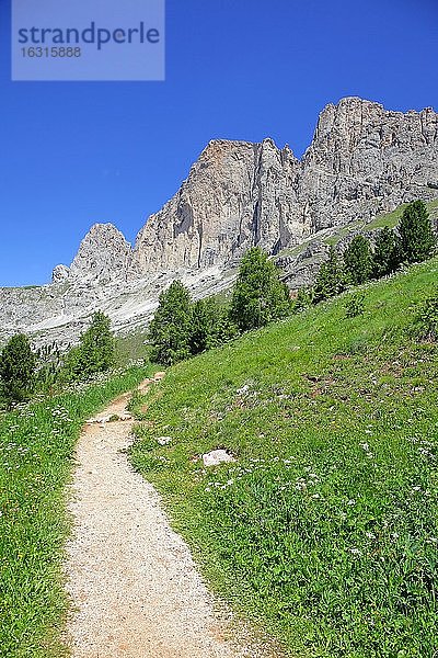 Bergmassiv mit Gebirgslandschaft  Wanderweg  Rosengarten  Dolomiten  Südtirol  Italien  Europa