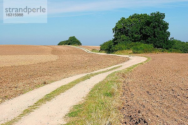 Feldweg windet sich durch frisch gepflügtes Feld  Rügen  Mecklenburg-Vorpommern  Deutschland  Europa