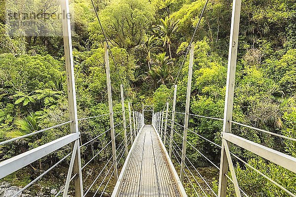 Hängebrücke über den Wainui River  Ozeanien  Wainui Falls Track  Golden Bay  Tasman  Südinsel  Neuseeland  Ozeanien