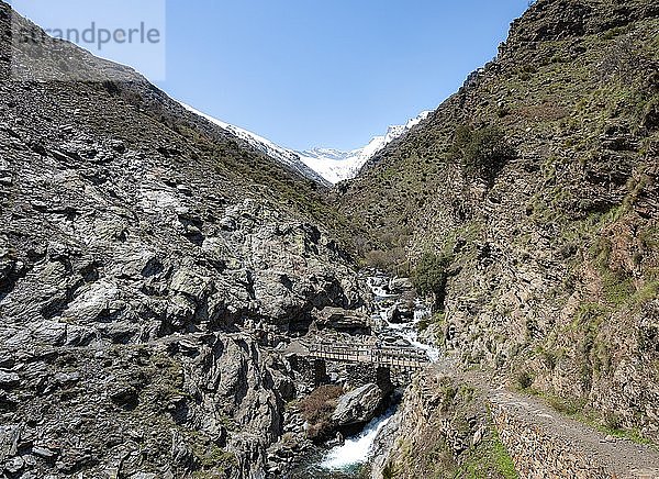 Wanderin auf Brücke am Wanderweg Vereda de la Estrella  hinten Sierra Nevada mit schneebedeckte Berge bei Granada  Andalusien  Spanien  Europa