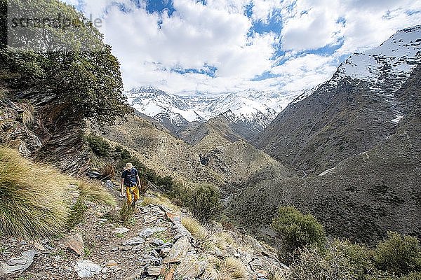 Wanderer auf einem Wanderweg  Wanderweg Vereda de la Estrella  hinten Sierra Nevada mit Gipfel Mulhacén und Pico Alcazaba  schneebedeckte Berge bei Granada  Andalusien  Spanien  Europa