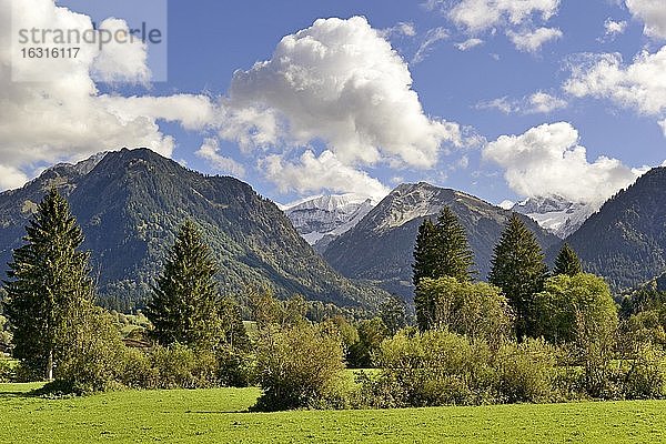 Ausblick auf die Berge bei Oberstdorf  Riefenkopf 1748m und Kegelkopf 1959m  Allgäuer Alpen  Allgäu  Bayern  Deutschland  Europa