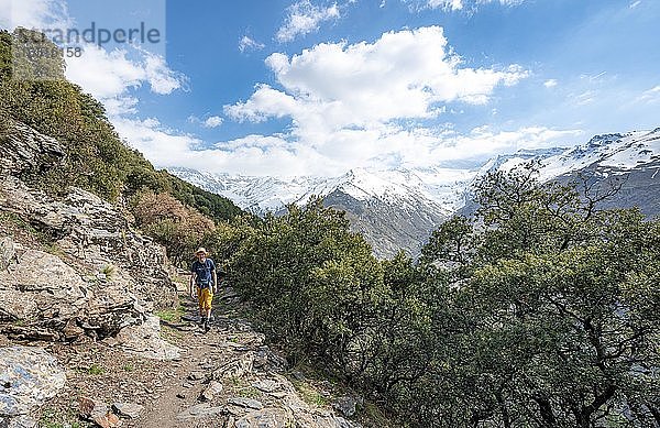 Wanderer auf Wanderweg  Vereda de la Estrella  hinten Sierra Nevada  schneebedeckte Berge bei Granada  Andalusien  Spanien  Europa