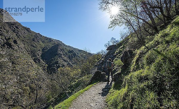 Wanderin auf Wanderweg Vereda de la Estrella  Sierra Nevada  Berge bei Granada  Andalusien  Spanien  Europa