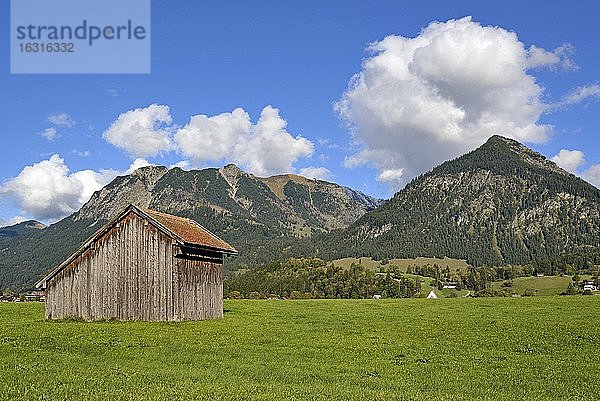 Ausblick von den Lorettowiesen auf die Berge bei Oberstdorf  Rubihorn 1937m  Gaisalphorn 1953m  Nebelhorn 2224m und Schattenberg 1721m  Allgäuer Alpen  Allgäu  Bayern  Deutschland  Europa