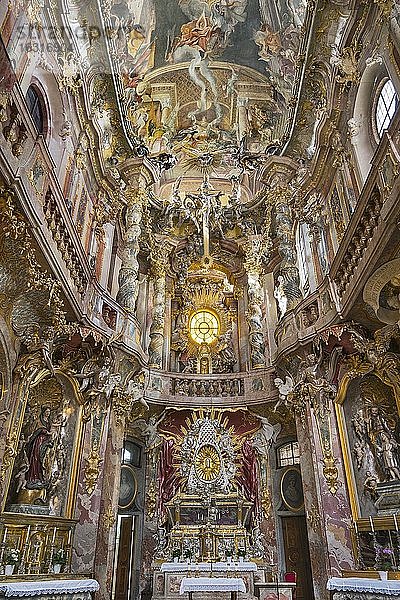 Altarraum mit Fresken und Ornamentik  spätbarocke St.-Johann-Nepomuk-Kirche  Asamkirche  Sendlinger Straße  Altstadt  München  Oberbayern  Bayern  Deutschland  Europa