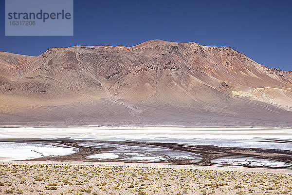 Laguna Tara  Nationalreservat Los Flamencos  San Pedro de Atacama  Region Antofagasta  Chile  Südamerika