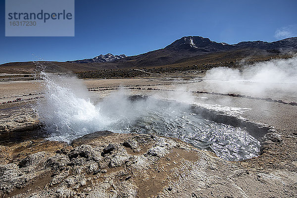 Geysire del Tatio (El Tatio)  das drittgrößte Geysirfeld der Welt  Zentrale Vulkanzone der Anden  Region Antofagasta  Chile  Südamerika