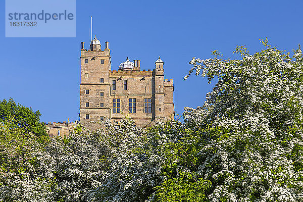 Ansicht von Schloss Bolsover  Bolsover  Derbyshire  England  Vereinigtes Königreich  Europa