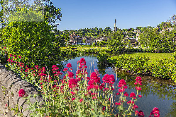 Ansicht von River Wye und Bakewell Church  Bakewell  Derbyshire Dales  Derbyshire  England  Vereinigtes Königreich  Europa