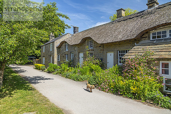 Ansicht von reetgedeckten Häusern in Baslow  Derbyshire Dales  Derbyshire  England  Vereinigtes Königreich  Europa