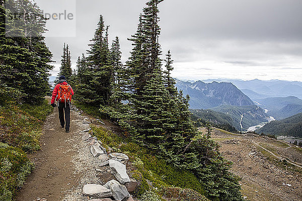 Ansichten vom Skyline Trail des Mount Rainier Nationalparks  Bundesstaat Washington  Vereinigte Staaten von Amerika  Nordamerika