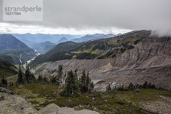 Blick auf den Deadhorse Creek Trail  Mount Rainier National Park  Bundesstaat Washington  Vereinigte Staaten von Amerika  Nordamerika